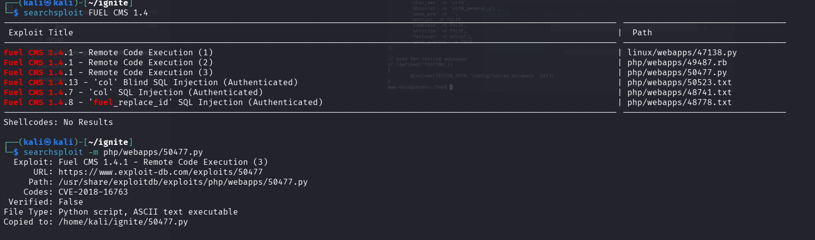 Searchsploit Results