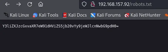 Robots page with Base64 data