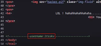 Page source view